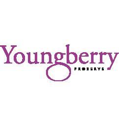 Youngberry ProServe offers SAP Business One hosted on IBM SmartCloud fully inclusive from under £500 a month.

Now part of @extechuk!