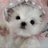utdk8p's profile image