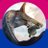 PaleoNerdFGC's profile image