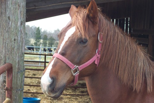 ddunn1956's profile picture. 