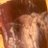 hateandmania's profile image