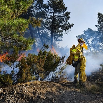 Canario🐥
Graduado en Ciencias del Deporte🏋️
Bombero Forestal🧑‍🚒