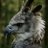 ztb6pu's profile image