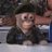 kangbucciarati's profile image