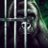 haramsy1ak1's profile image
