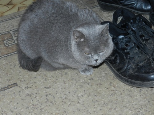 vmf949's profile picture. 