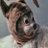SILVERHAMMERED_'s profile image