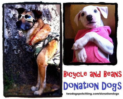 @BikesBarks & @BeansTheWhippet collect $ and donate to causes close to their dog hearts. Like them http://t.co/1LHKc0XXcB