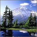 AgnijaChuchumas's profile picture. 