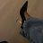 miaw11122's profile image