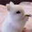 ickyunicornnn's profile image