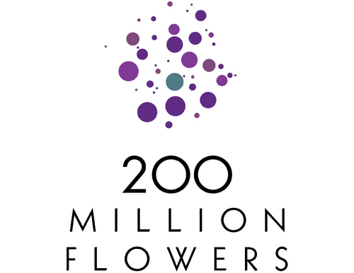 200 Million Flowers is more than an adoption agency, making the connection between children that need love and parents that have love to give.