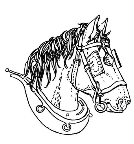 Epworth Show holds a variety of events throughout the year, including Saddle Club Events and the Epworth Show