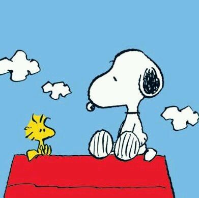 KTaylor2313's profile picture. They still out to get me they don't get it,
I can not be gotten, that's a given