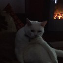 Lee Reeve - @Leer68 - Twitter