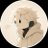 Nitocnt's profile image