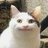 glamourblossom's profile image
