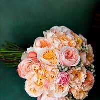 The Little Branch (@lbfloral) 's Twitter Profile