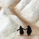 Alyssa Lam - @oahuXlove - Twitter