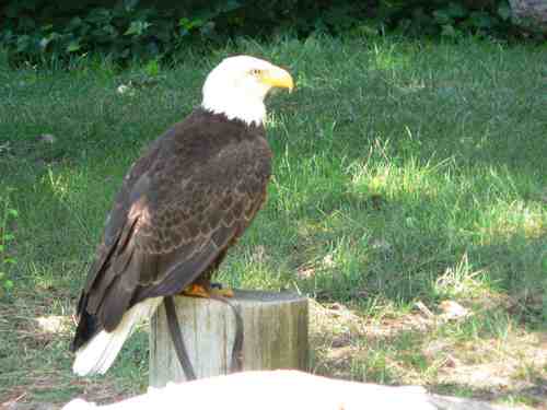 Orakel2000's profile picture. Sound Of Freedom