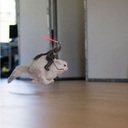 John Kaiser II - @JohnKaiserII - Twitter