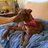 Davidino46's profile image