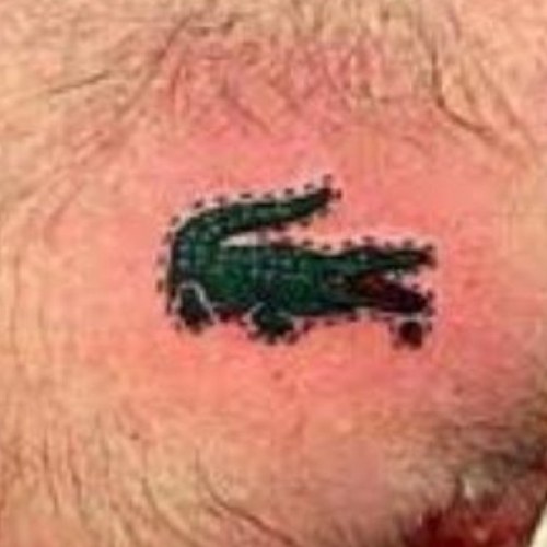 tavooll's profile picture. 