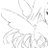 bwunnley's profile image