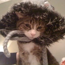 Susan Linker - @susanlourcompan - Twitter