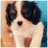 KimchiDogPerson's profile image