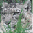 SabraPdM's profile image