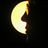 stevenluster's profile image