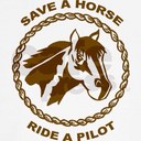 Chris Wiens - @ChrisWiens1 - Twitter