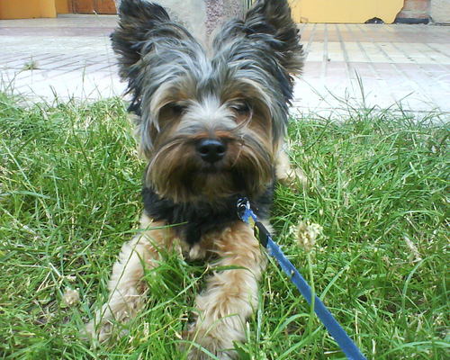 SoryLozano's profile picture. Lo que no te mata te hace mas fuerte