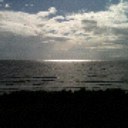 Terrie Black - @tazblack88 - Twitter