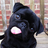 Retchkiman's profile image