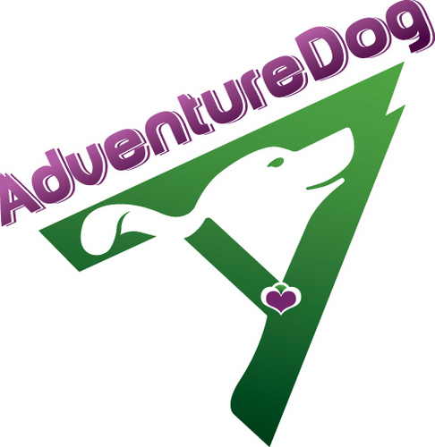 Tell your dog to take a hike.  Literally!  Adventure Dog is daycamp for dogs that includes pick up and drop off, and a big hike in the hills with a group of dog