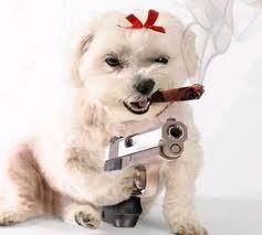 lil_doggie's profile picture. My husband and I have never considered divorce... murder sometimes, but never divorce