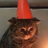 AryaLivingld's profile image