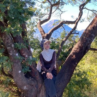 harta tahta maretaa