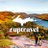 UPTravel's profile image