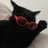 hellohellobus__'s profile image