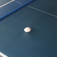 Robert Rands (@vittidinia) 's Twitter Profile Photo