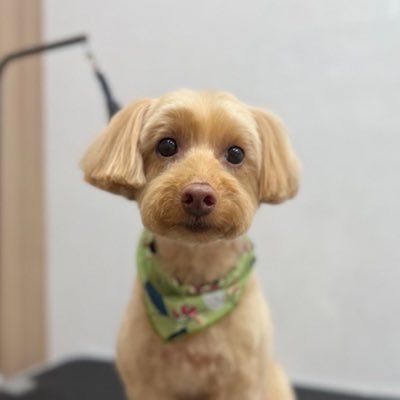 JTCのシニアデザイナー。デザインシステムやAI活用を中心に取り組んでいます。デザイナー歴は14年。 前職はジモティーやSun Asteriskなど。