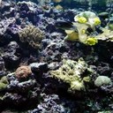 Tara Seech - @TaraSeech - Twitter