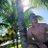 jonathan_o_jhon's profile image