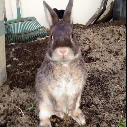 andkpal's profile picture. 