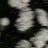 ryuchaeseo's profile image