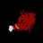 Real_HogsNation's profile image