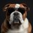 techdog's profile image